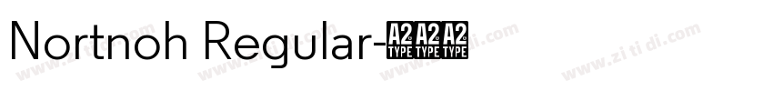 Nortnoh Regular字体转换
